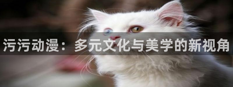 喵趣校园漫画：污污动漫：多元文化与美学的新视角配图